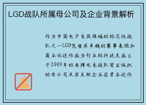 LGD战队所属母公司及企业背景解析